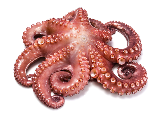 Pulpo 1-2 (700g)